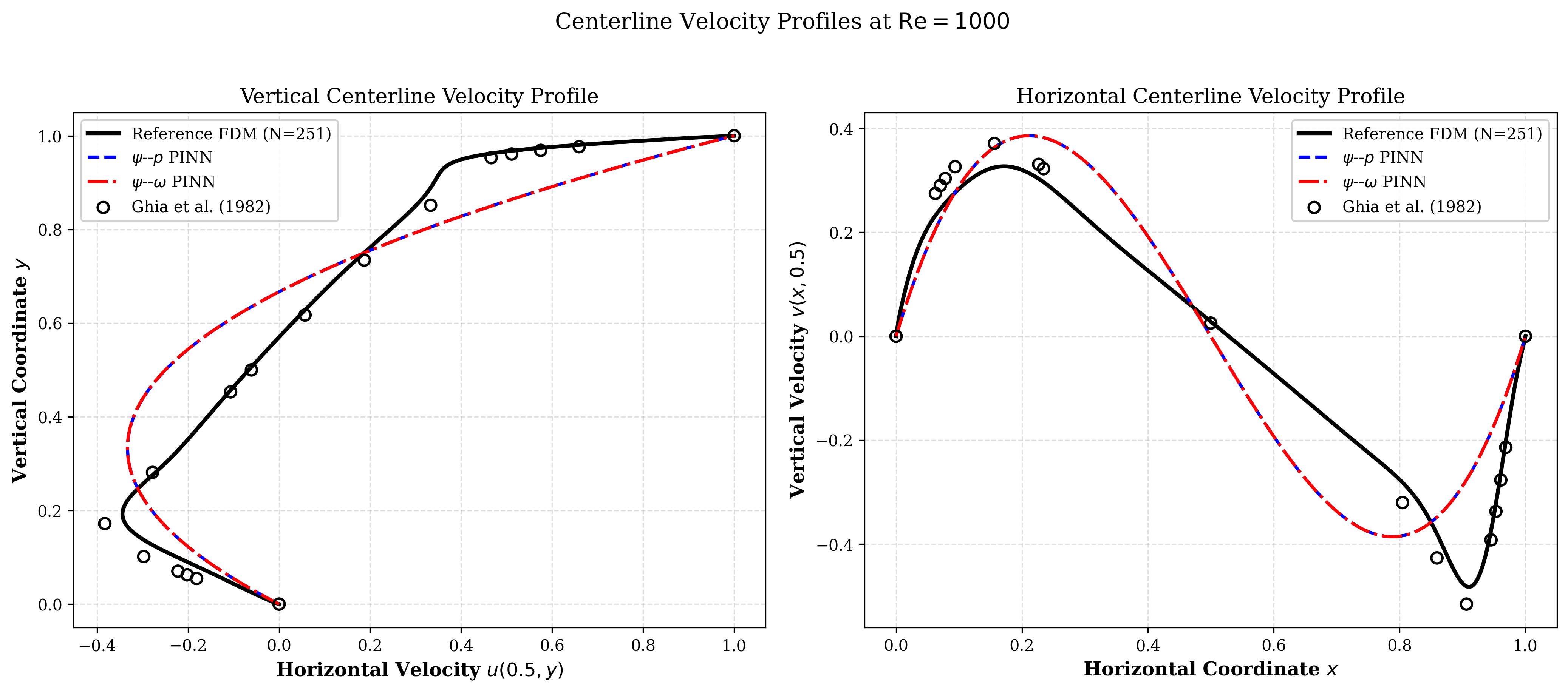 CFD FDM Solver Validation